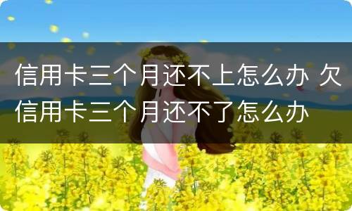 信用卡三个月还不上怎么办 欠信用卡三个月还不了怎么办