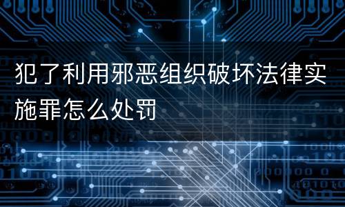 犯了利用邪恶组织破坏法律实施罪怎么处罚