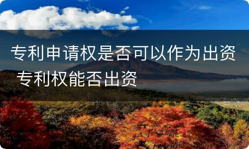 专利申请权是否可以作为出资 专利权能否出资