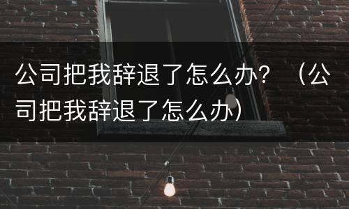 公司把我辞退了怎么办？（公司把我辞退了怎么办）