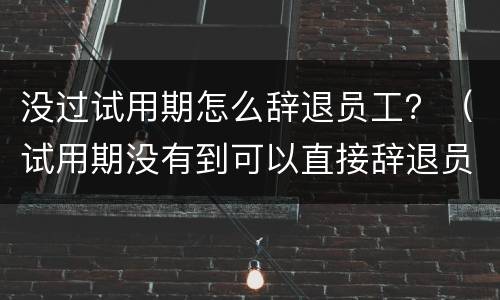 没过试用期怎么辞退员工？（试用期没有到可以直接辞退员工吗）