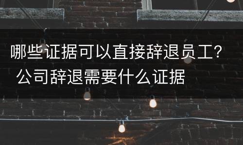 哪些证据可以直接辞退员工？ 公司辞退需要什么证据