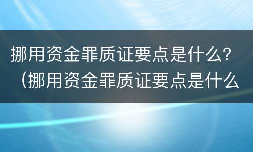 挪用资金罪质证要点是什么？（挪用资金罪质证要点是什么）