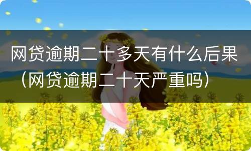 网贷逾期二十多天有什么后果（网贷逾期二十天严重吗）