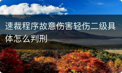 速裁程序故意伤害轻伤二级具体怎么判刑