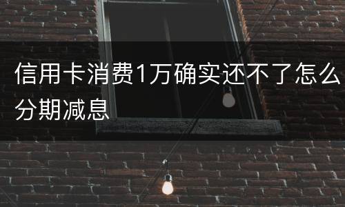 信用卡消费1万确实还不了怎么分期减息
