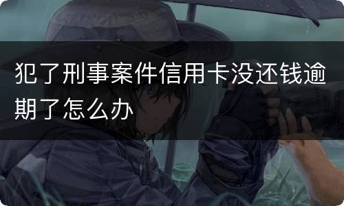 犯了刑事案件信用卡没还钱逾期了怎么办