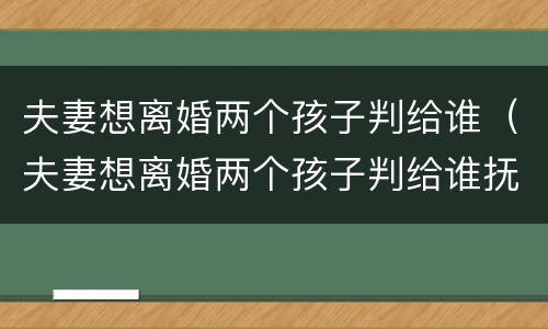夫妻想离婚两个孩子判给谁（夫妻想离婚两个孩子判给谁抚养）