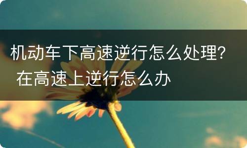机动车下高速逆行怎么处理？ 在高速上逆行怎么办