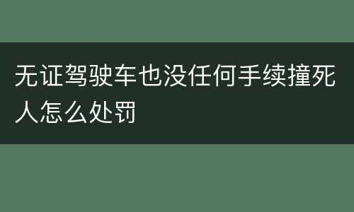 无证驾驶车也没任何手续撞死人怎么处罚