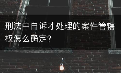 刑法中自诉才处理的案件管辖权怎么确定？