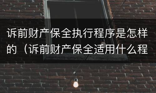 诉前财产保全执行程序是怎样的（诉前财产保全适用什么程序）