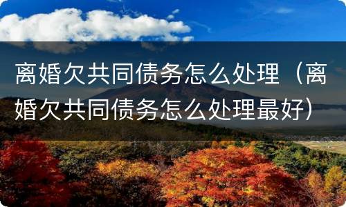 离婚欠共同债务怎么处理（离婚欠共同债务怎么处理最好）
