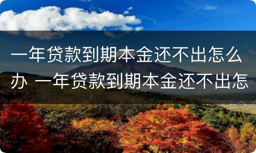 一年贷款到期本金还不出怎么办 一年贷款到期本金还不出怎么办