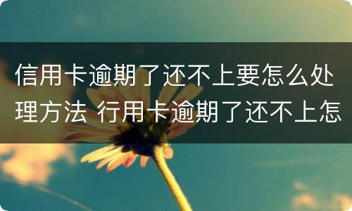 信用卡逾期了还不上要怎么处理方法 行用卡逾期了还不上怎么办