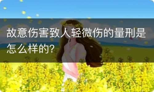 故意伤害致人轻微伤的量刑是怎么样的？