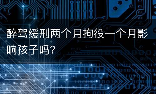 醉驾缓刑两个月拘役一个月影响孩子吗？