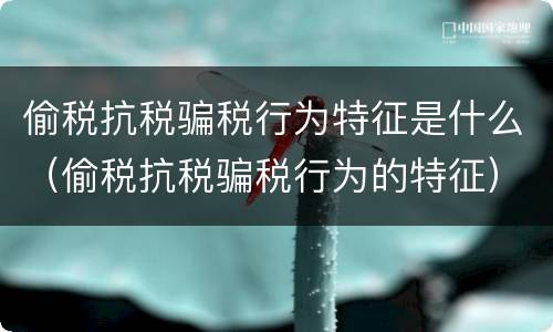 偷税抗税骗税行为特征是什么（偷税抗税骗税行为的特征）