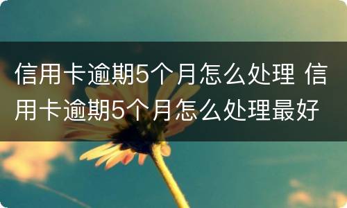 信用卡逾期5个月怎么处理 信用卡逾期5个月怎么处理最好