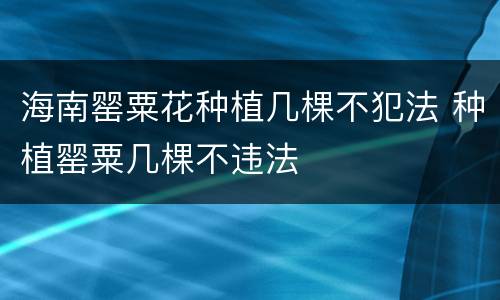 海南罂粟花种植几棵不犯法 种植罂粟几棵不违法