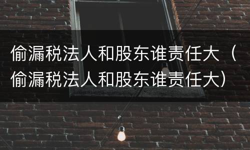 偷漏税法人和股东谁责任大（偷漏税法人和股东谁责任大）