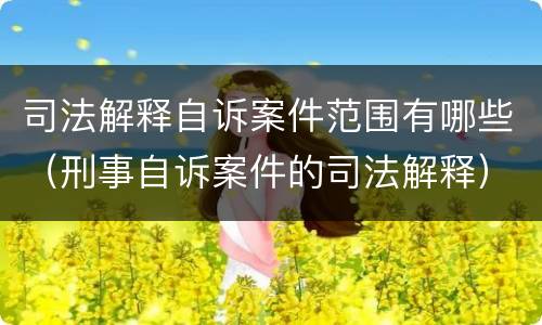 司法解释自诉案件范围有哪些（刑事自诉案件的司法解释）