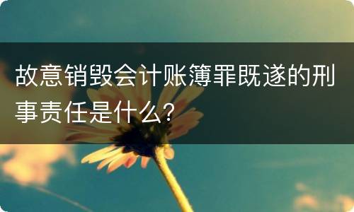 故意销毁会计账簿罪既遂的刑事责任是什么？