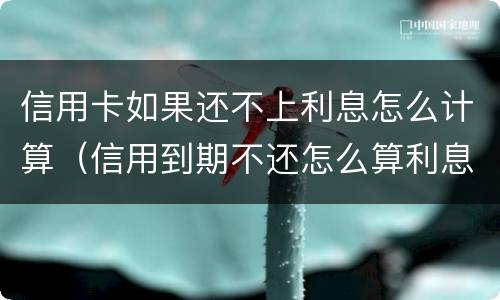信用卡如果还不上利息怎么计算（信用到期不还怎么算利息）