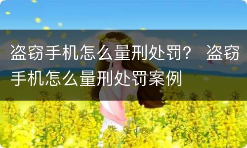 盗窃手机怎么量刑处罚？ 盗窃手机怎么量刑处罚案例
