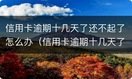 信用卡逾期十几天了还不起了怎么办（信用卡逾期十几天了还不起了怎么办呀）