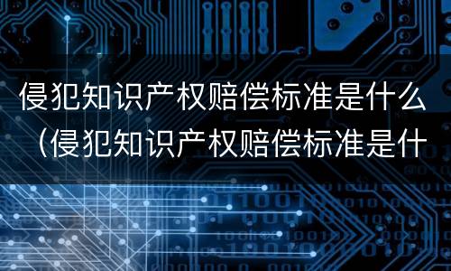 侵犯知识产权赔偿标准是什么（侵犯知识产权赔偿标准是什么案例）