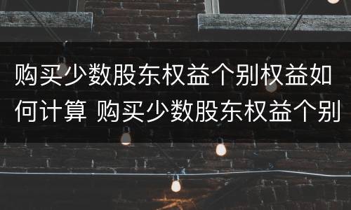 购买少数股东权益个别权益如何计算 购买少数股东权益个别权益如何计算