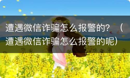 遭遇微信诈骗怎么报警的？（遭遇微信诈骗怎么报警的呢）