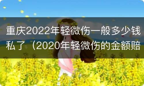 重庆2022年轻微伤一般多少钱私了（2020年轻微伤的金额赔偿标准）