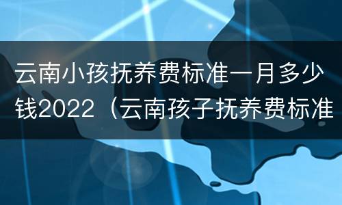 云南小孩抚养费标准一月多少钱2022（云南孩子抚养费标准）