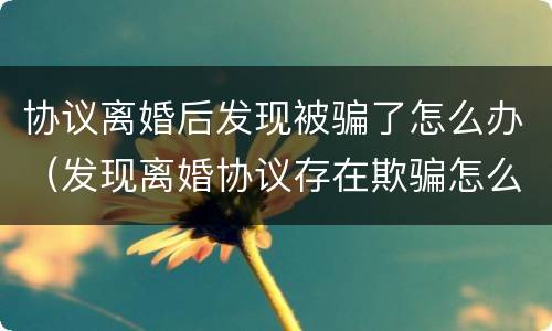 协议离婚后发现被骗了怎么办（发现离婚协议存在欺骗怎么办）