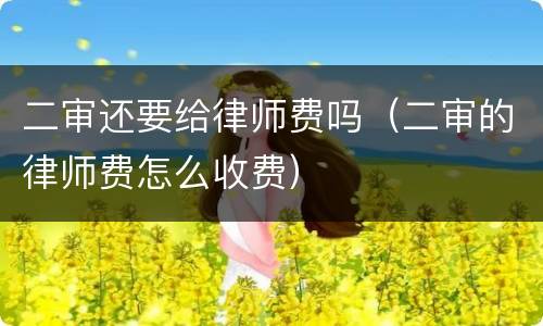 二审还要给律师费吗（二审的律师费怎么收费）