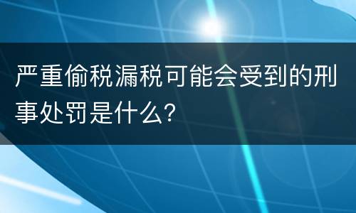 严重偷税漏税可能会受到的刑事处罚是什么？