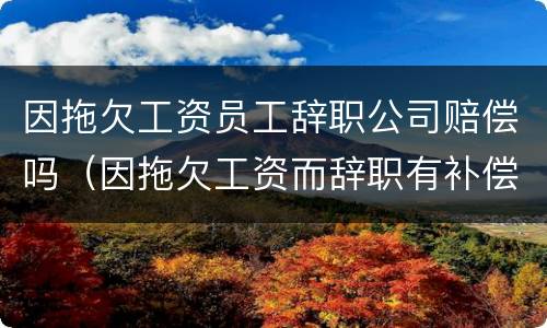 因拖欠工资员工辞职公司赔偿吗（因拖欠工资而辞职有补偿金吗）
