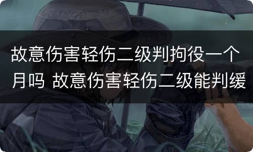 故意伤害轻伤二级判拘役一个月吗 故意伤害轻伤二级能判缓刑吗?