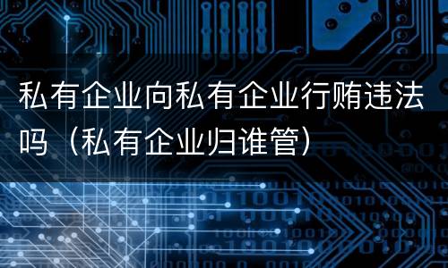 私有企业向私有企业行贿违法吗（私有企业归谁管）