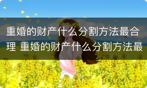 重婚的财产什么分割方法最合理 重婚的财产什么分割方法最合理呢