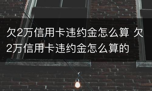 欠2万信用卡违约金怎么算 欠2万信用卡违约金怎么算的