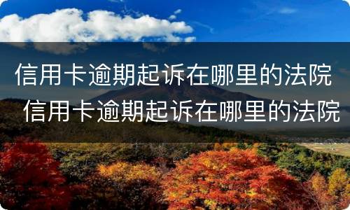 信用卡逾期起诉在哪里的法院 信用卡逾期起诉在哪里的法院立案