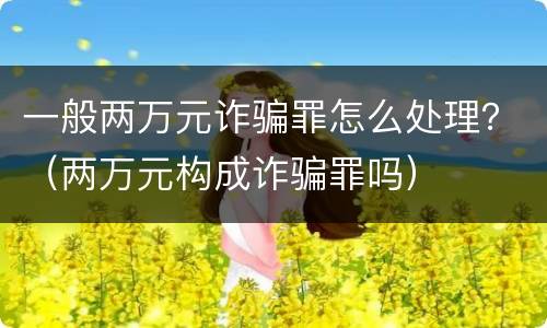 一般两万元诈骗罪怎么处理？（两万元构成诈骗罪吗）