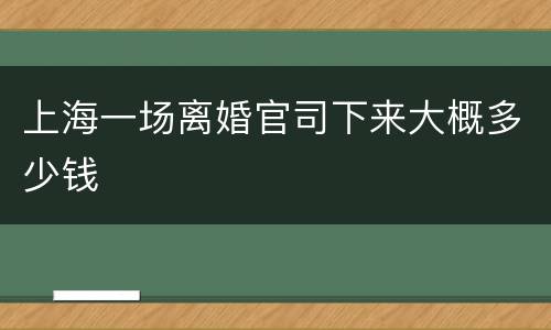 上海一场离婚官司下来大概多少钱