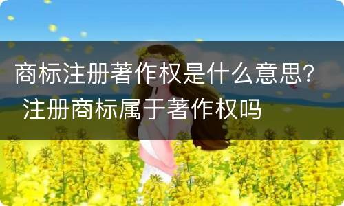 商标注册著作权是什么意思？ 注册商标属于著作权吗