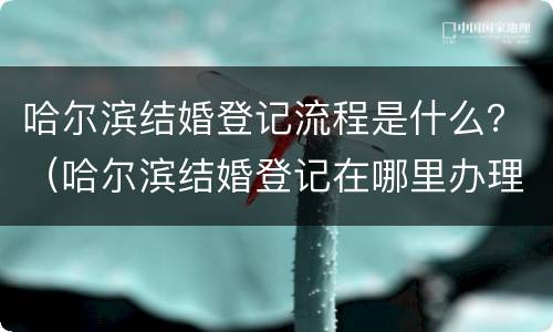 哈尔滨结婚登记流程是什么？（哈尔滨结婚登记在哪里办理）