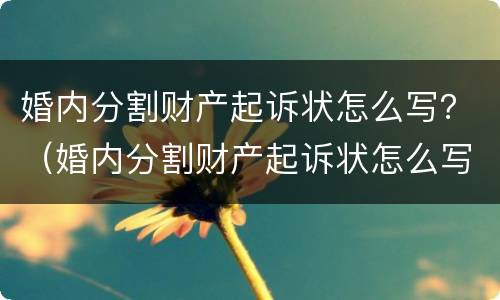婚内分割财产起诉状怎么写？（婚内分割财产起诉状怎么写的）