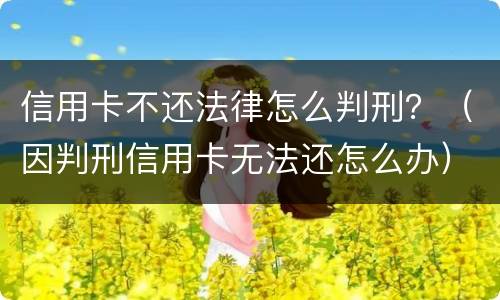信用卡不还法律怎么判刑？（因判刑信用卡无法还怎么办）